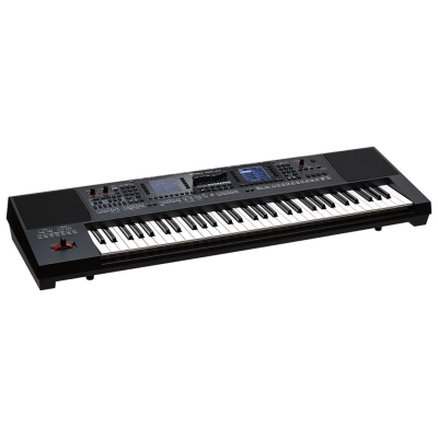 Roland E-A7