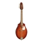 Seagull S8 Mandolin Brunt Umber 41596