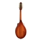 Seagull S8 Mandolin Brunt Umber 41596