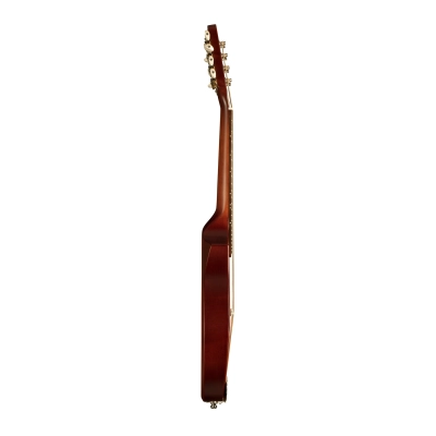 Seagull S8 Mandolin Brunt Umber 41596