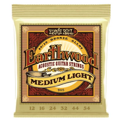 Ernie Ball Earthwood 80/20 Bronze .012-.054 2003