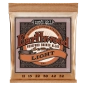 Ernie Ball Earthwood Phosphor Bronze .011-.052 2148