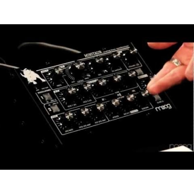 Sintezatorius MOOG Minitaur Bass Synth