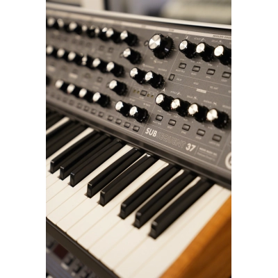 Sintezatorius MOOG Subsequent 37