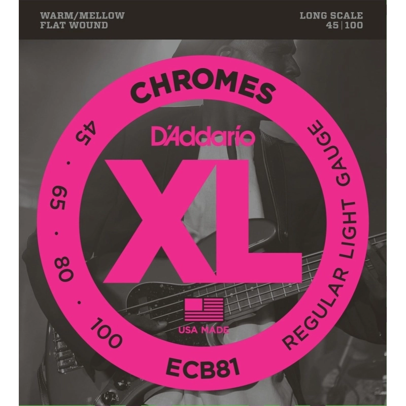 DAddario Chromes .045-.100 ECB81