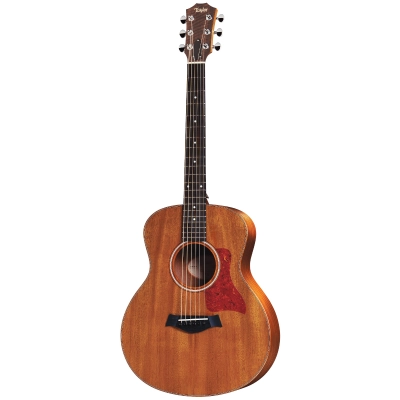 Taylor GS Mini Mahogany