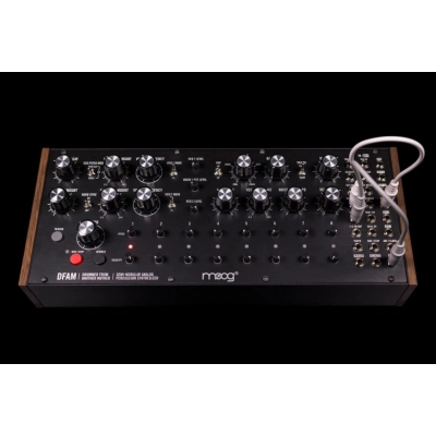 Sintezatorius MOOG DFAM CE