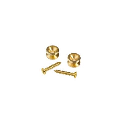 DAddario Solid Brass End Pins PWEP302