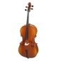 Violončelė Strunal 1/2 40/1C