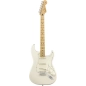 Fender Player Stratocaster MN PWT