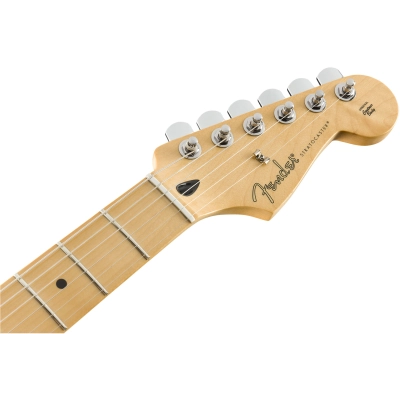 Fender Player Stratocaster MN PWT