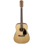 Akustinė Gitara Fender CD-60 V3 DS, Nat WN