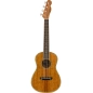 Fender Montecito NAT