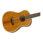 Fender Montecito NAT