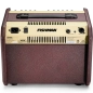 FISHMAN LOUDBOX MINI + BT PRO-LBT-EU5