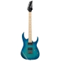 Elektrinė gitara Ibanez RG421AHM BMT