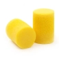 Daddario Foam Ear Plugs PWEP1