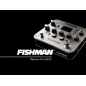 Fishman Platinum PRO-EQ