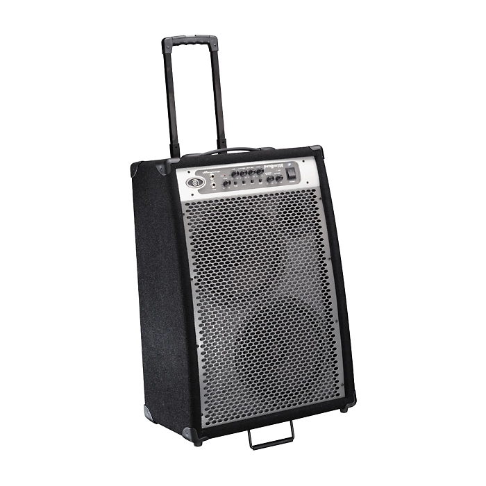 Kubas Ampeg Portabass