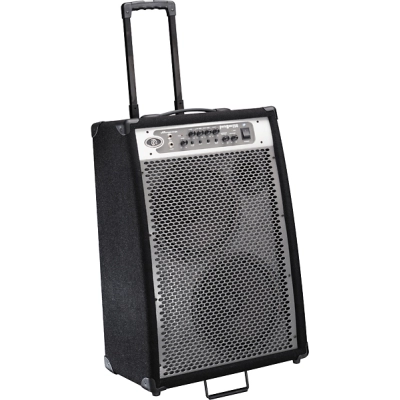 Kubas Ampeg Portabass