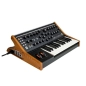 Moog Subsequent 25