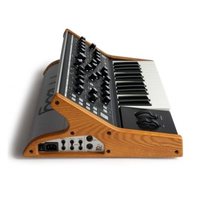 Moog Subsequent 25