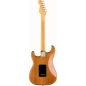 Elektrinė gitara Fender American Professional II Stratocaster RST Pine