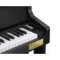 Skaitmeninis pianinas Casio GP310 BK