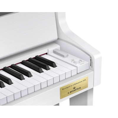 Skaitmeninis pianinas Casio GP310 WE