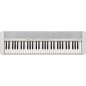 Sintezatorius Casio CT-S1 WE