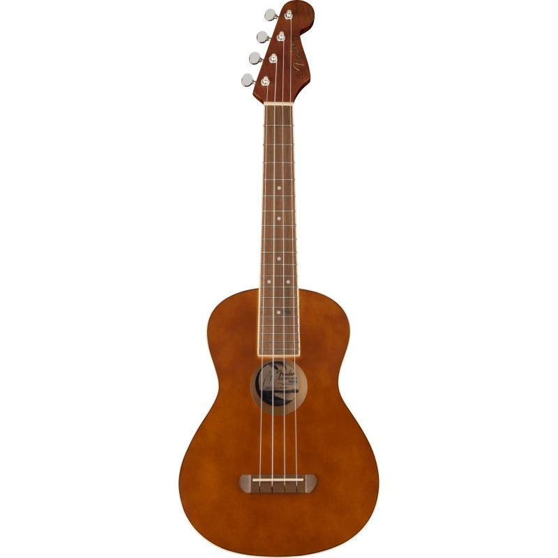 Ukulelė Fender Avalon Tenor Nat WN