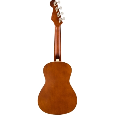 Ukulelė Fender Avalon Tenor Nat WN