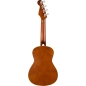 Ukulelė Fender Avalon Tenor Nat WN