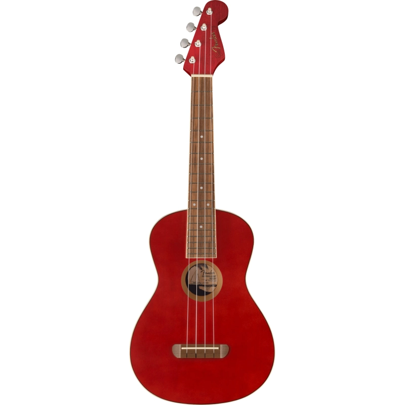 Ukulelė Fender Avalon Tenor CHY WN