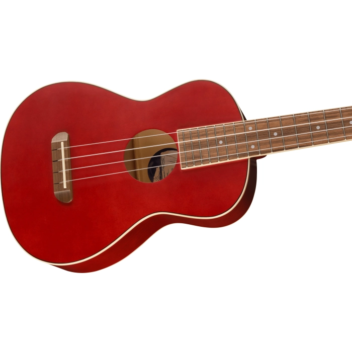 Ukulelė Fender Avalon Tenor CHY WN