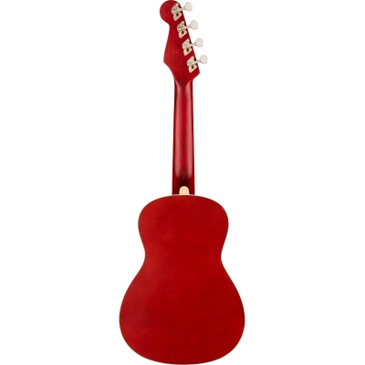 Ukulelė Fender Avalon Tenor CHY WN