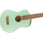 Ukulelė Fender Avalon Tenor SFG WN