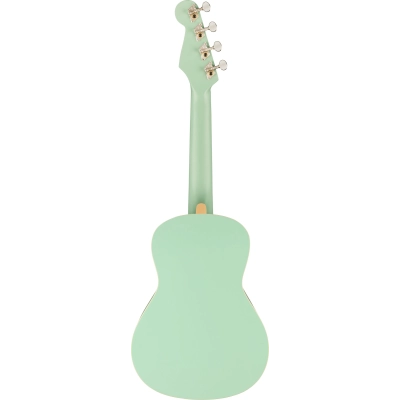 Ukulelė Fender Avalon Tenor SFG WN