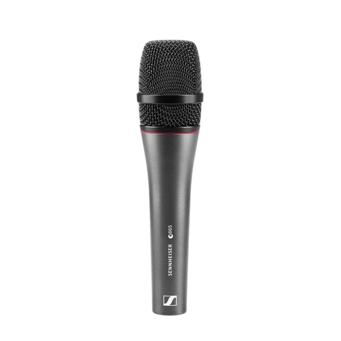 Sennheiser E865