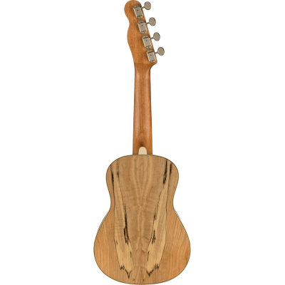 Ukulelė Fender Zuma Exotic Concert Ukulele, Walnut Fingerboard, Spalted Maple