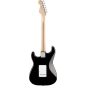 Elektrinė gitara Fender Eric Clapton Stratocaster®, Maple Fingerboard, Black