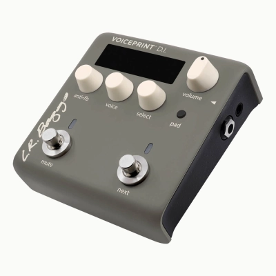 Pedalas akustinei gitarai L.R. Baggs VOICEPRINT DI