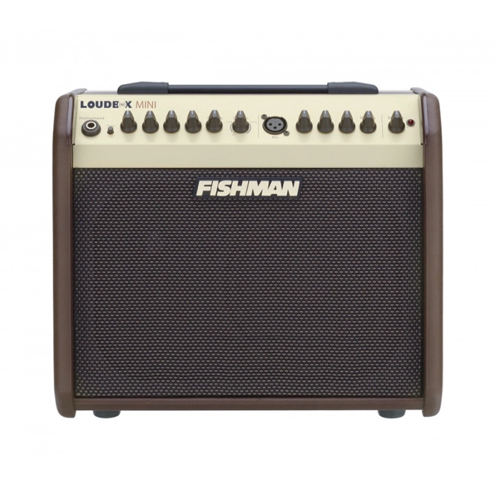 Gitarinis stiprintuvas Fishman Loudbox Mini PRO-LBX-EX5