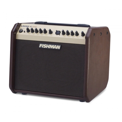 Gitarinis stiprintuvas Fishman Loudbox Mini PRO-LBX-EX5