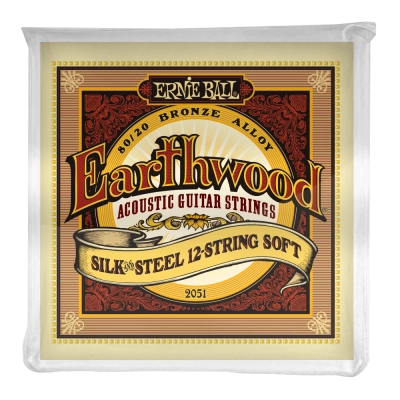 Ernie Ball Earthwood Silk&Steel 80/20 Bronze .009-.046 2051