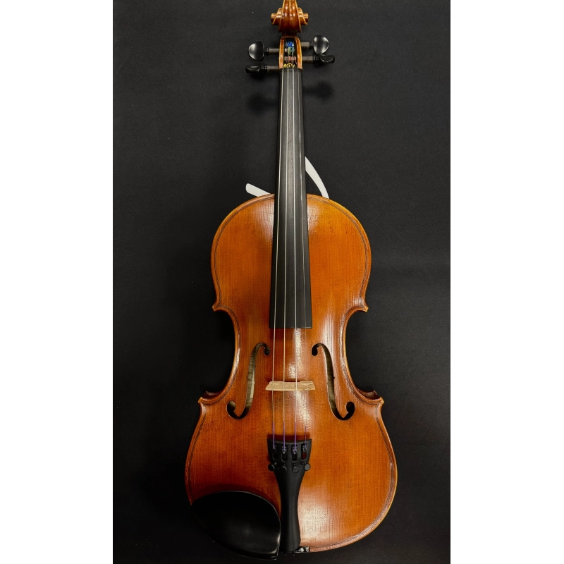 Smuikas Petz Romanian Violin TV29GASP 4/4