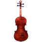 Smuikas Petz Violin set HNS100SP