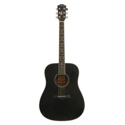 Arrow Silver S D BLK Acoustic guitar