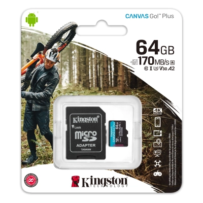 Canvas Go Plus atminties kortelė 256GB