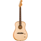 Elektroakustinė gitara Fender Highway Dreadnaught NAT RW